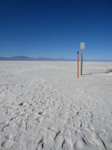 Trail stakes indicating the furthest point on the Alkali Trail loop, found a few hundred feet out in the playa