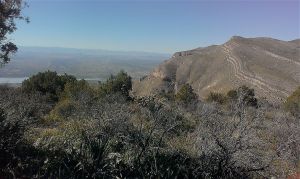View of Timber Peak from Brushy Mountain summit.
