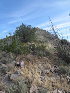 View along "Open Ocotillo Avenue" to a false summit ascending to Point 5782